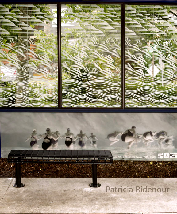 Patricia Ridenour_Metro_4Culture_The Photo Center NW_grant_Surface