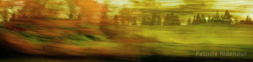 Patricia Ridenour_seattle photographer_traveling by bus_transition